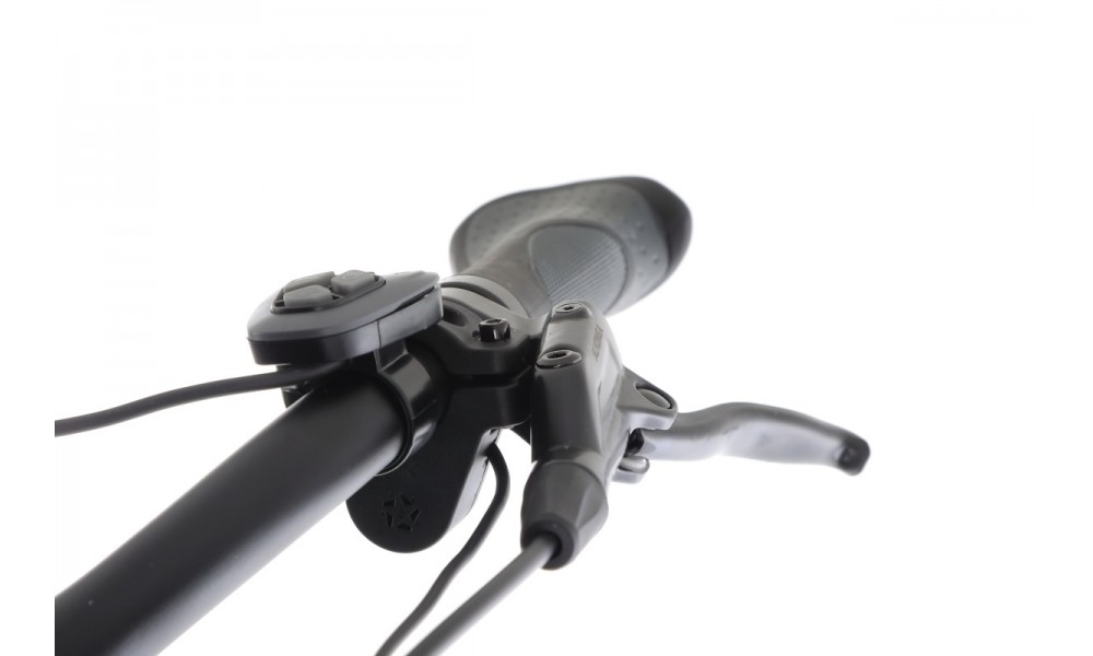 Rower trekkingowy elektryczny Ecobike D2 - miętowy