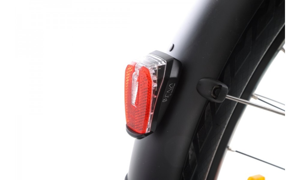 Rower trekkingowy elektryczny Ecobike D2 - miętowy