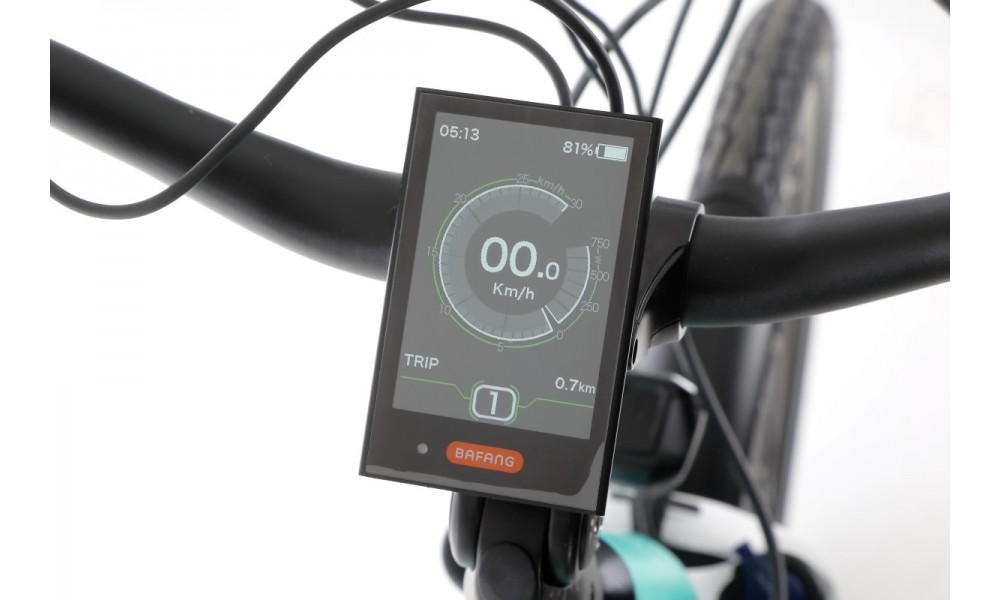 Rower trekkingowy elektryczny Ecobike D2 - miętowy