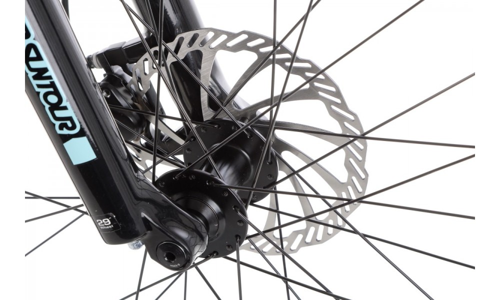 Rower górski elektryczny Kellys Tayen R10 29  Panasonic - błękitny