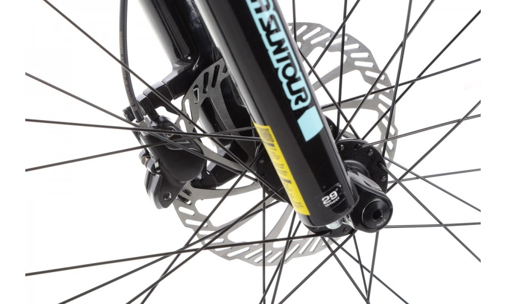 Rower górski elektryczny Kellys Tayen R10 29  Panasonic - błękitny