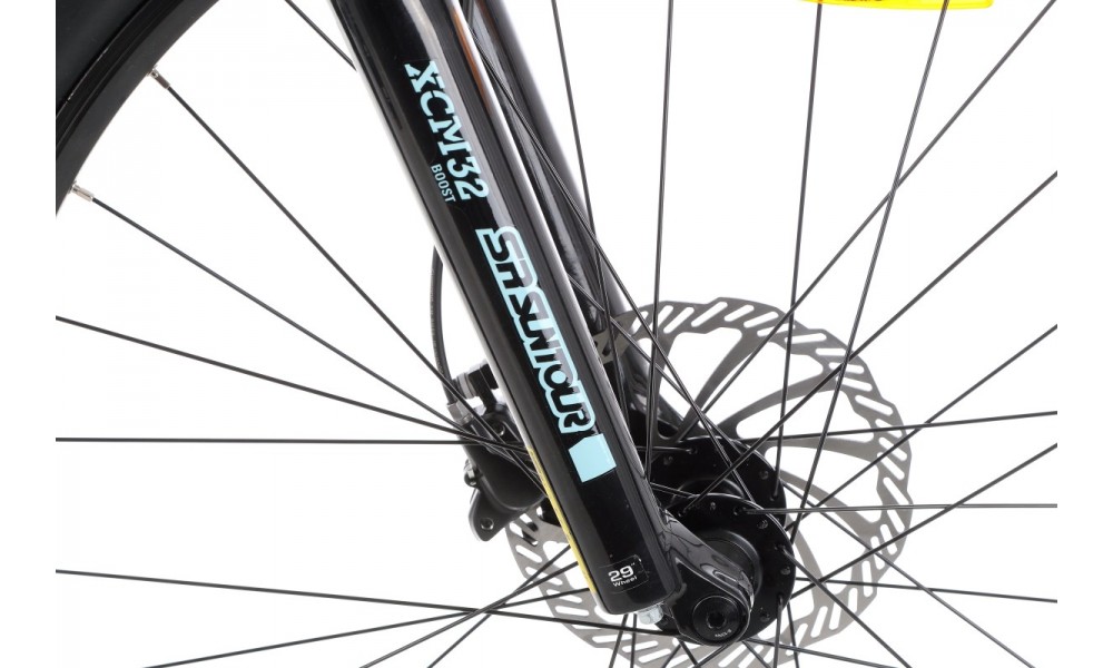 Rower górski elektryczny Kellys Tayen R10 29  Panasonic - błękitny