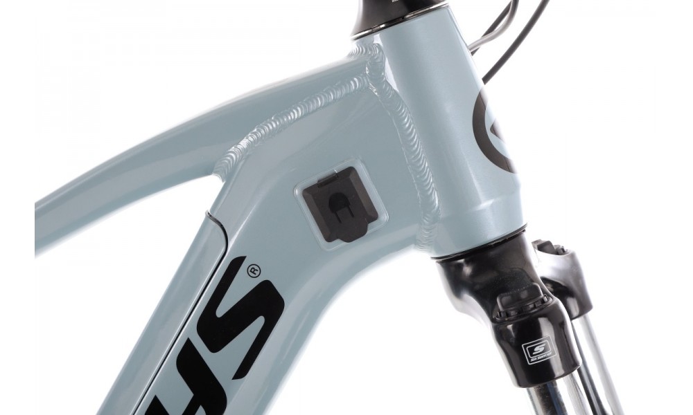 Rower górski elektryczny Kellys Tayen R10 29  Panasonic - błękitny