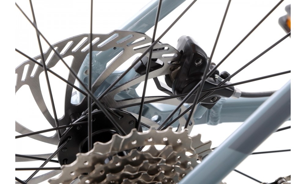 Rower górski elektryczny Kellys Tayen R10 29  Panasonic - błękitny