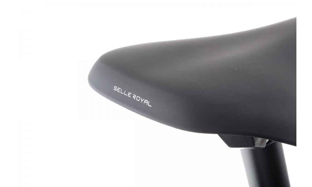 Rower trekkingowy elektryczny Winora Yucatan X10 High - szary