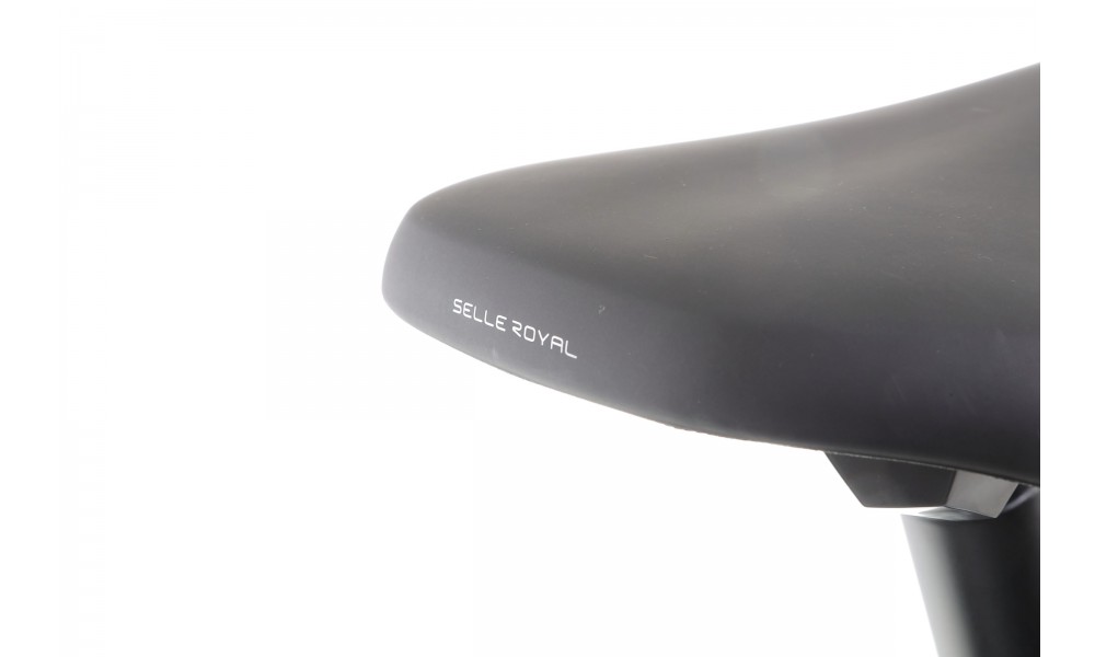 Rower trekkingowy elektryczny Winora Yucatan X10 Low - szary