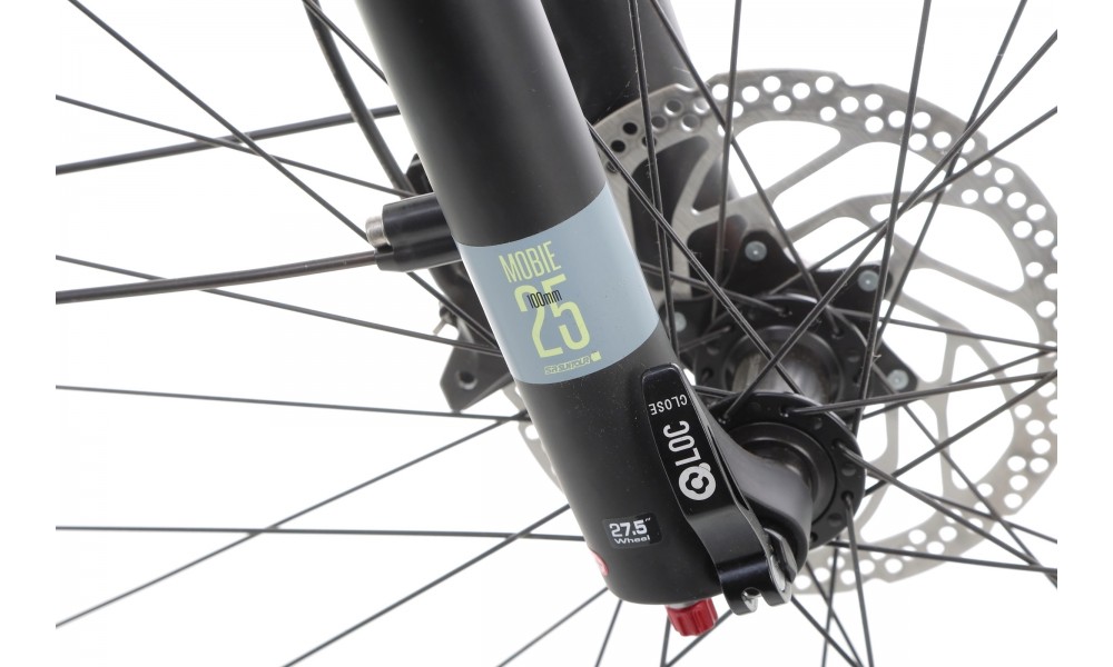 Rower trekkingowy elektryczny Winora Yucatan X10 Low - szary