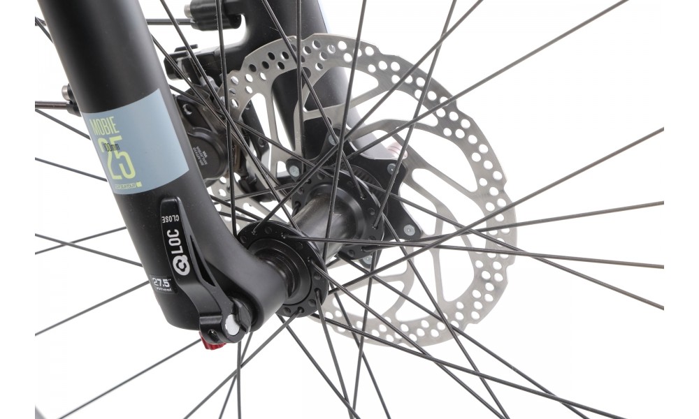 Rower trekkingowy elektryczny Winora Yucatan X10 Low - szary