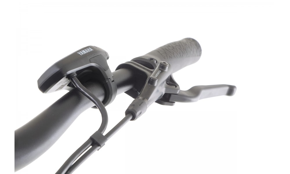 Rower trekkingowy elektryczny Winora Yucatan X10 Low - szary