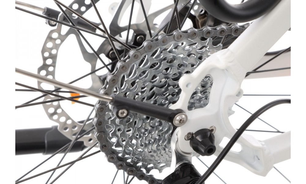 Rower trekkingowy elektryczny Ecobike LX300 - biały