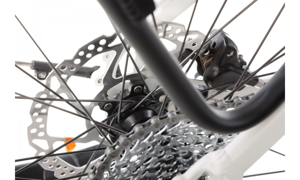 Rower trekkingowy elektryczny Ecobike LX300 - biały