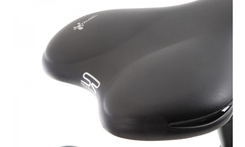 Rower trekkingowy elektryczny Ecobike LX300 - biały