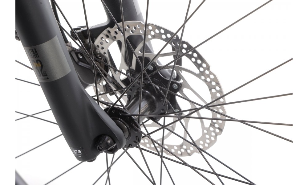 Rower trekkingowy elektryczny Winora Yucatan X8 High - szary