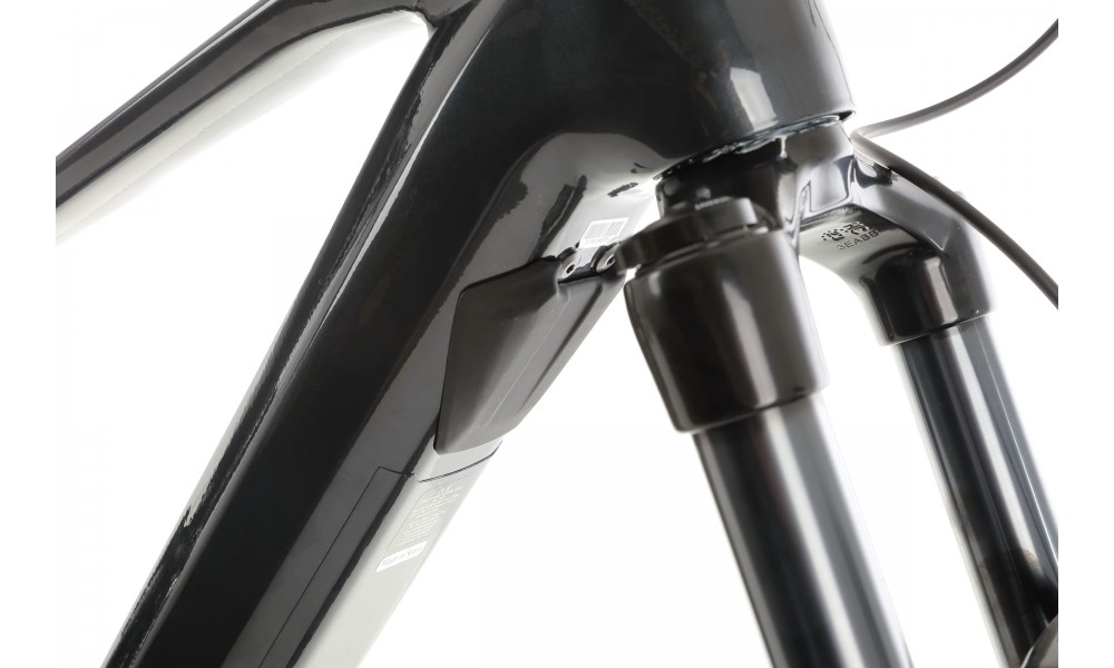 Rower górski elektryczny Orbea WILD H20-EAGLE 2024 - szaro-niebieski