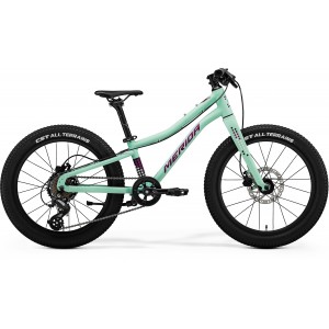 Rower górski Merida Matts J.20+ UNI 2024 - zielono-fioletowy 1
