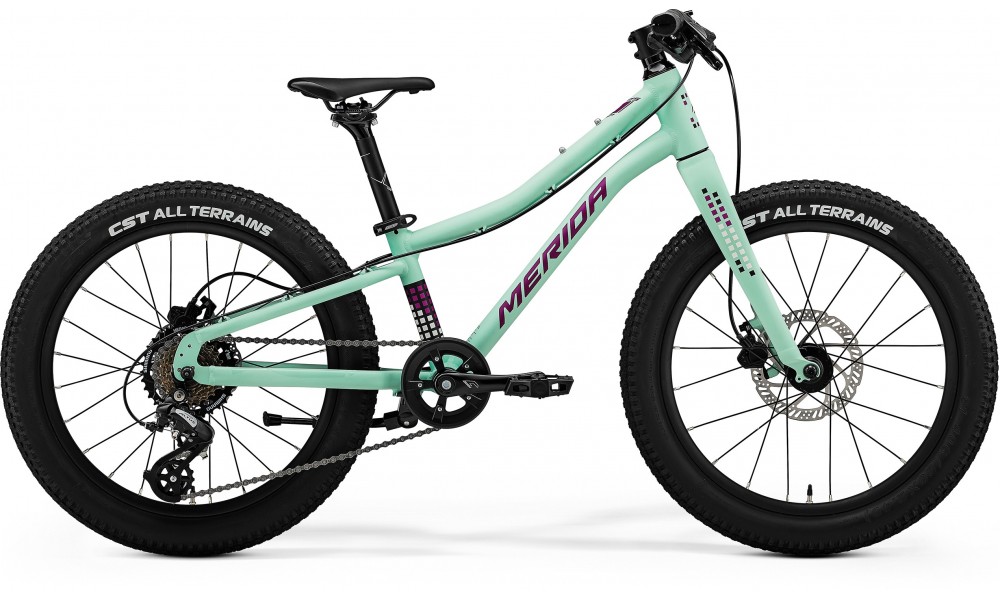 Rower górski Merida Matts J.20+ UNI 2024 - zielono-fioletowy