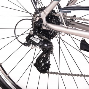 Rower trekingowy Unibike Vision Lady 2024 - szampański 2