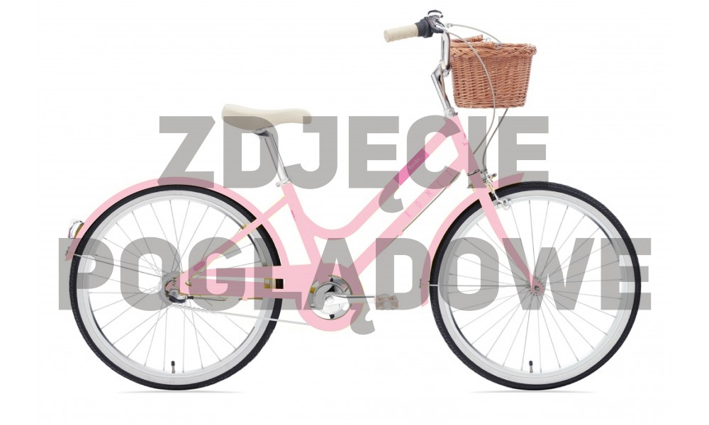 Rower młodzieżowy Romet Panda 2 2024 - różowy