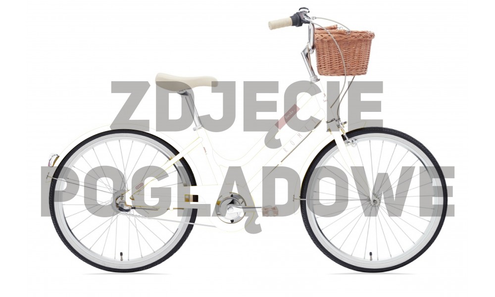 Rower młodzieżowy Romet Panda 2 2024 - biało-beżowy