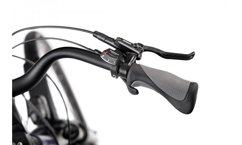 Rower trekkingowy Romet Gazela 9 2024 - fioletowo-złoty