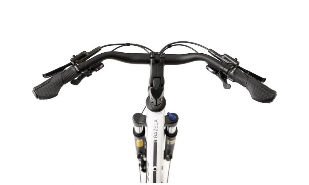 Rower trekkingowy Romet Gazela 5 CS 2024 - biały-grafitowy