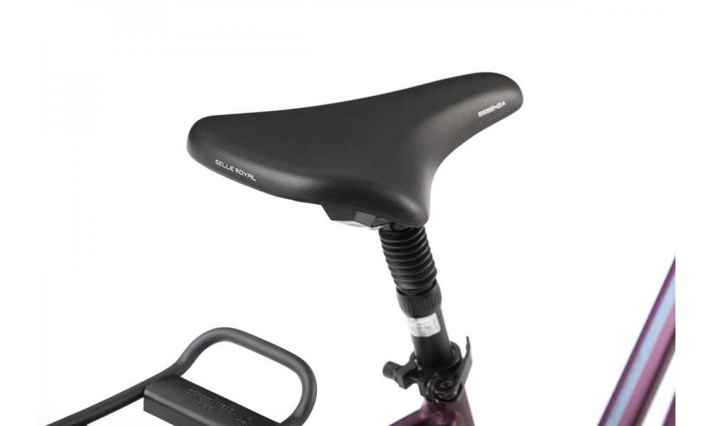 Rower trekkingowy Romet Gazela 6 CS 2024 - bordowo-niebieski