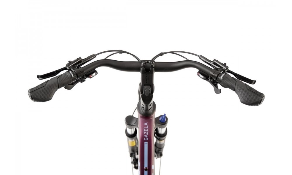 Rower trekkingowy Romet Gazela 6 CS 2024 - bordowo-niebieski