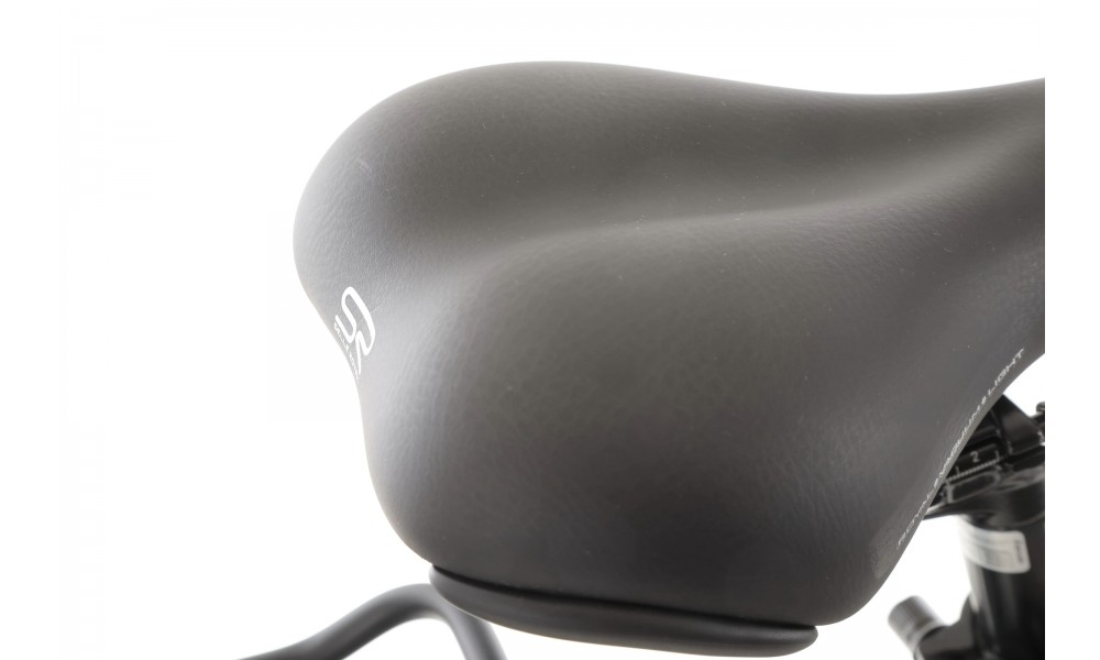 Rower trekkingowy Romet Wagant 2 2024 - czarno-srebrny