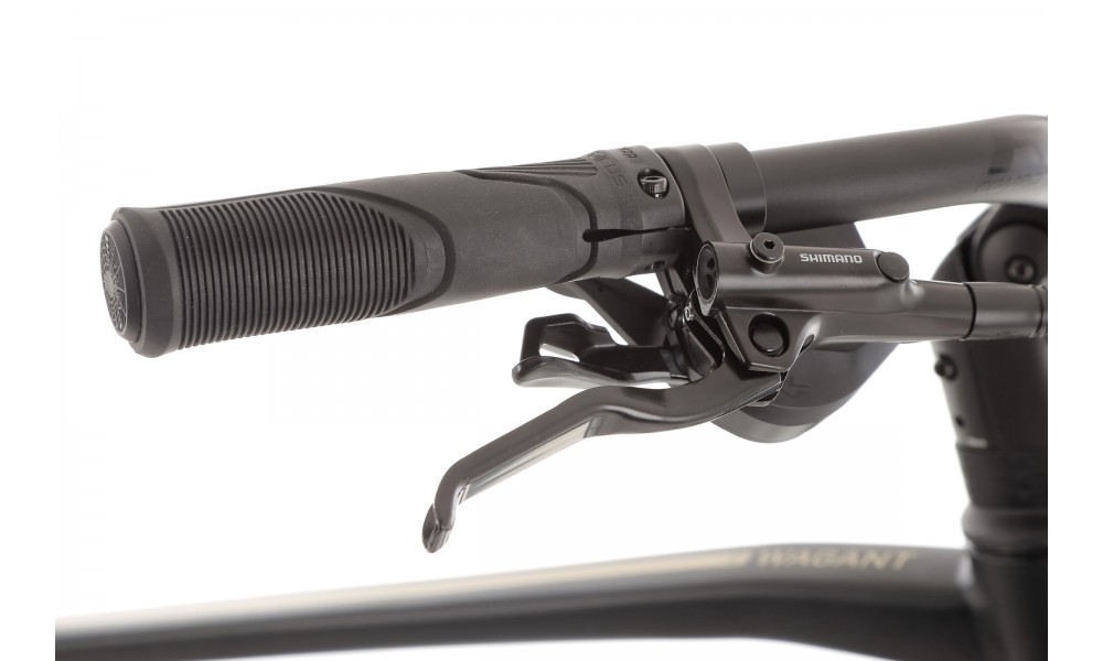 Rower trekkingowy Romet Wagant 5 CS 2024 - czarno-szampański