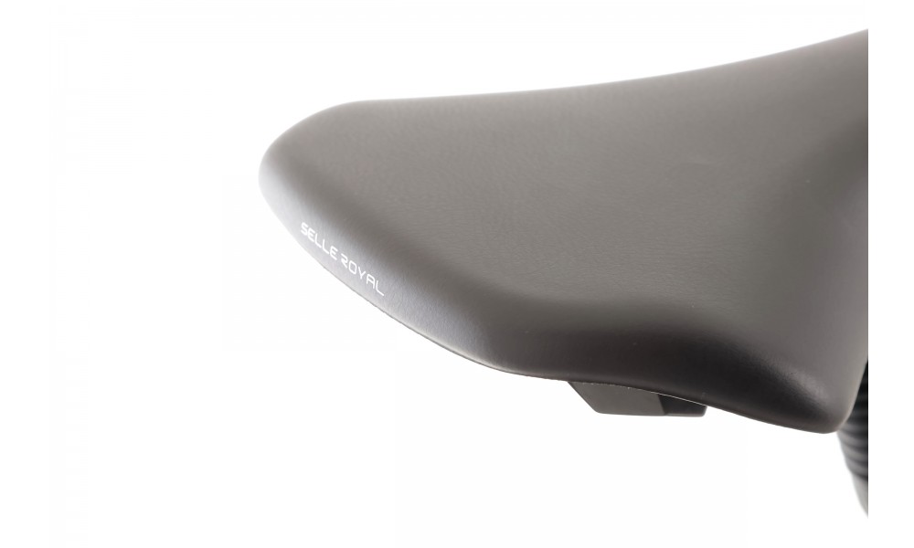 Rower trekkingowy Romet Wagant 5 CS 2024 - czarno-szampański