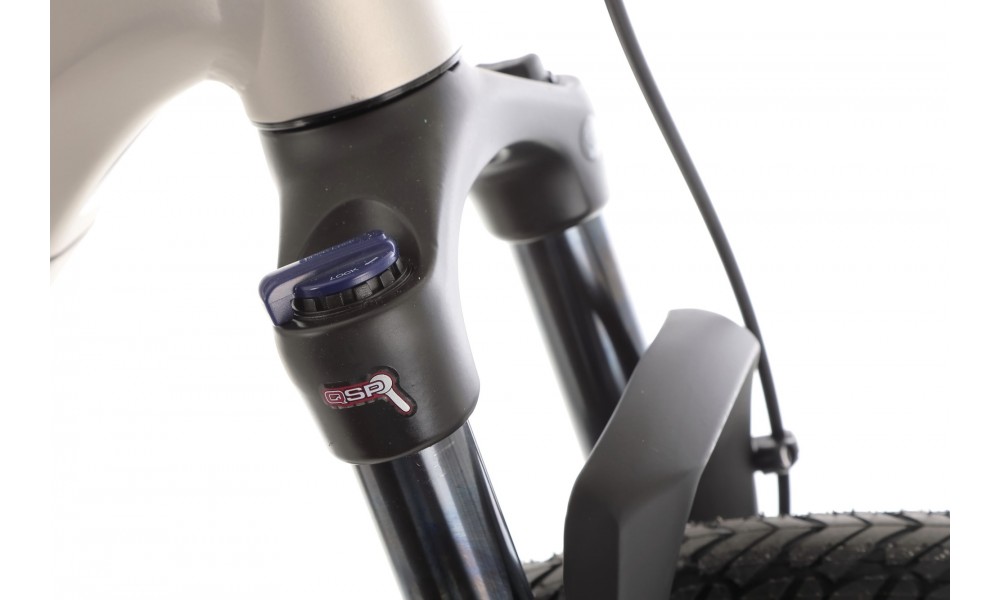 Rower crossowy elektryczny Romet e-Orkan D2.0 2024 - srebrny