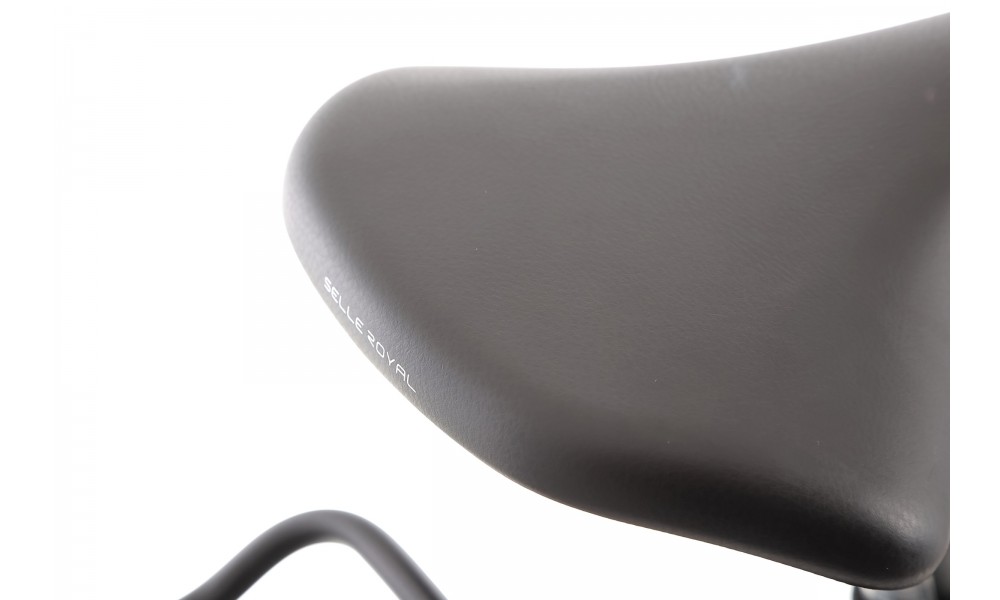 Rower trekkingowy elektryczny Romet Gazela 1.0 2024 - bordowy