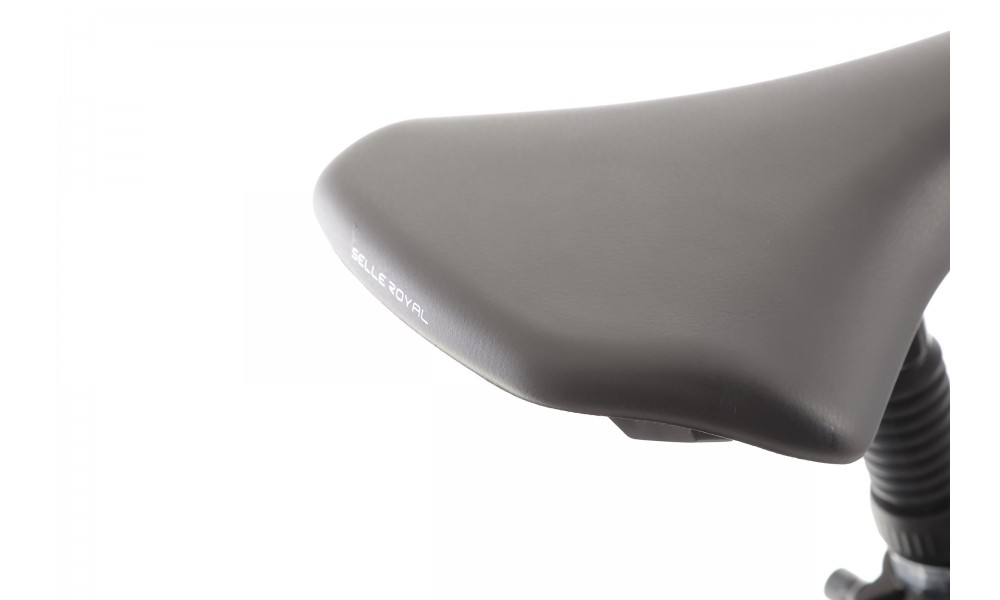 Rower trekkingowy elektryczny Romet Wagant 1.0 2024 - granatowy