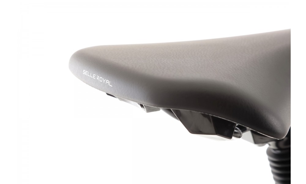 Rower trekkingowy elektryczny Romet Wagant 1.0 2024 - bordowy