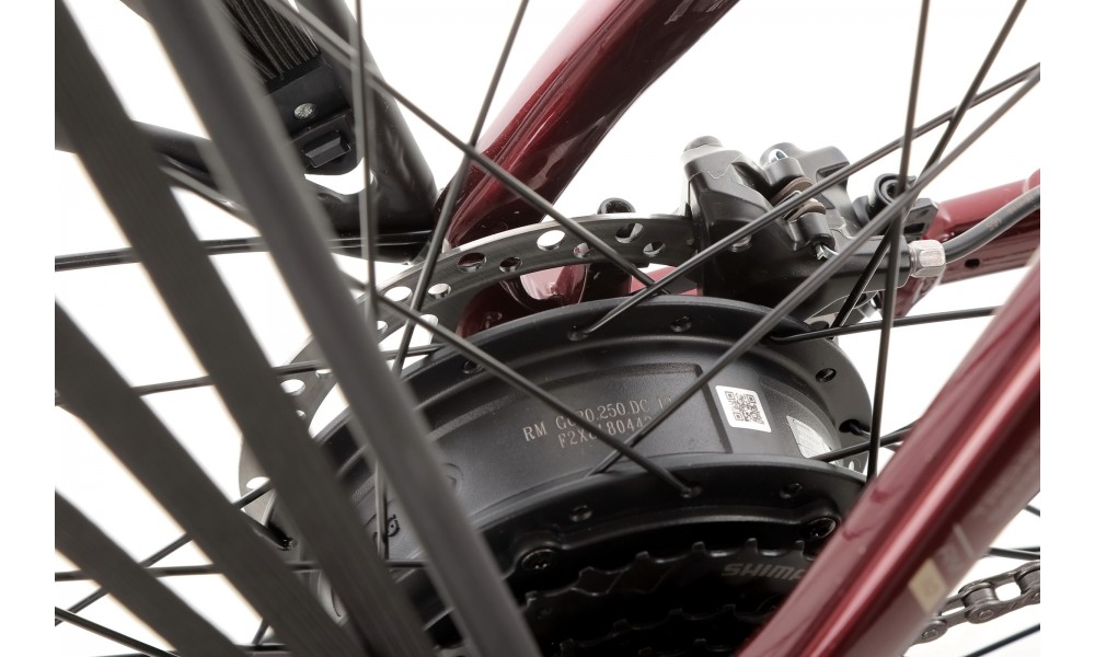 Rower trekkingowy elektryczny Romet Wagant 1.0 2024 - bordowy