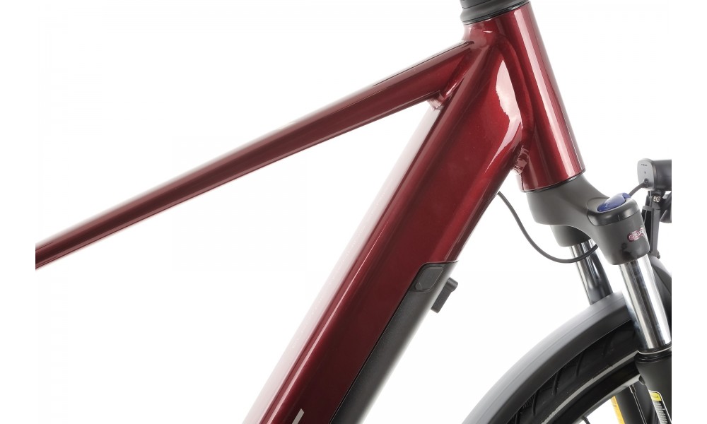 Rower trekkingowy elektryczny Romet Wagant 1.0 2024 - bordowy