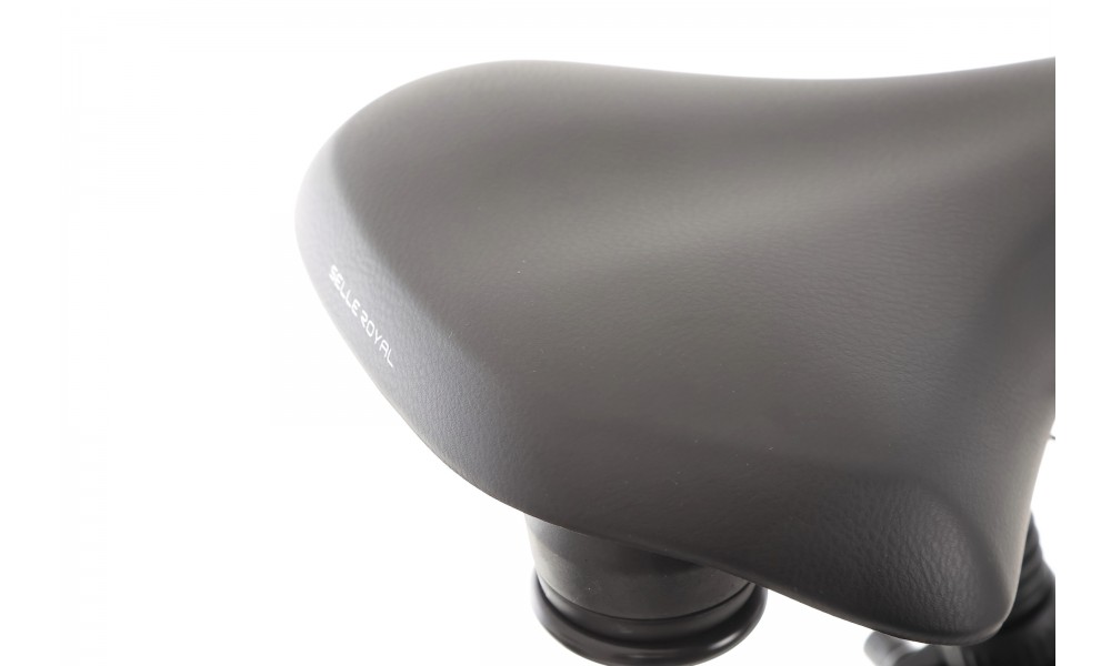 Rower miejski elektryczny ROMET e-Modeco URB 2.0 2024 - szampańsko-czarny