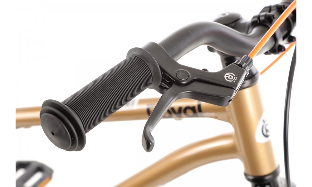 Rower dziecięcy Royal Baby BELT Super Lite 18" 2024 - złoty