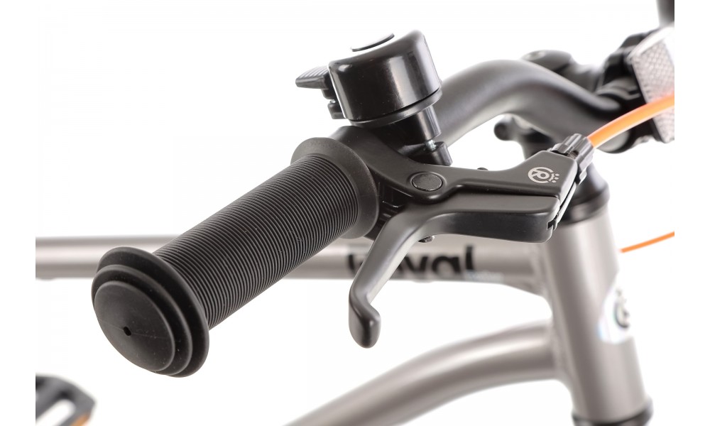 Rower dziecięcy Royal Baby BELT Super Lite 20" 2024 - srebrny