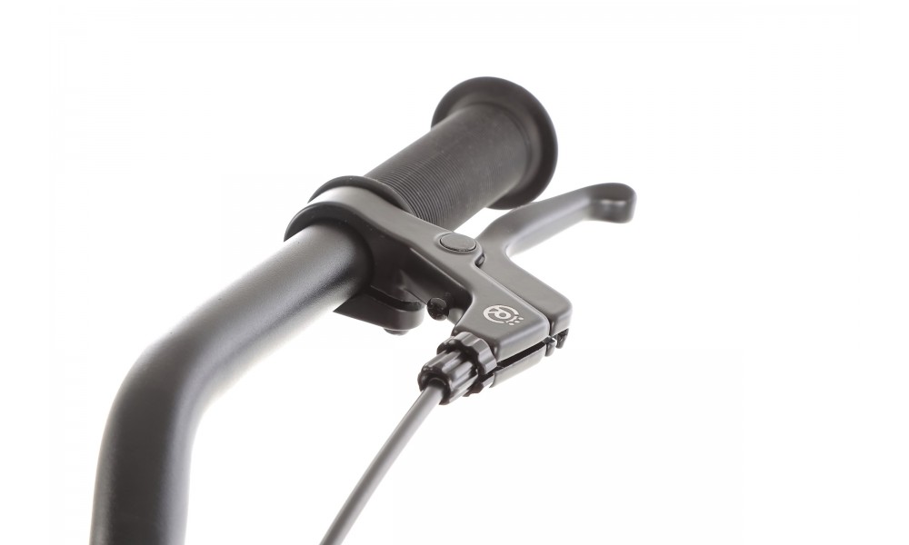 Rower dziecięcy Royal Baby BELT Super Lite 20" 2024 - srebrny