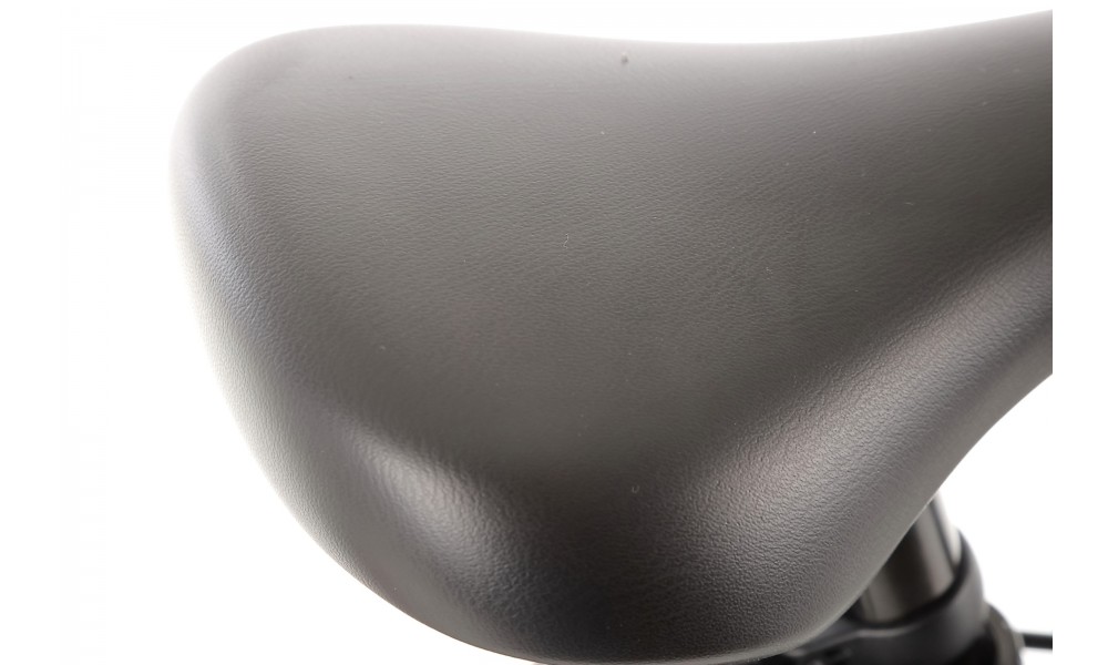 Rower dziecięcy Royal Baby BELT Super Lite 20" 2024 - srebrny