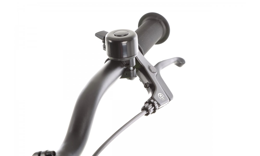 Rower dziecięcy Royal Baby BELT Super Lite 20" 2024 - limonkowy