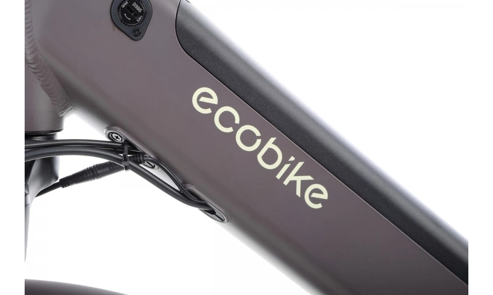 Rower trekkingowy elektryczny Ecobike X-City - coffee