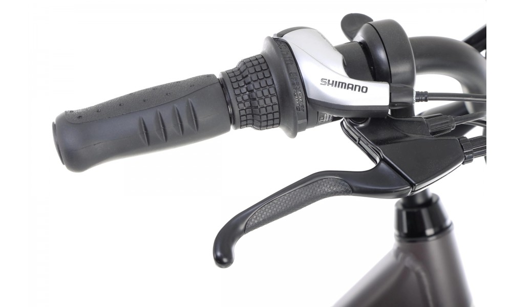 Rower trekkingowy elektryczny Ecobike X-City - coffee