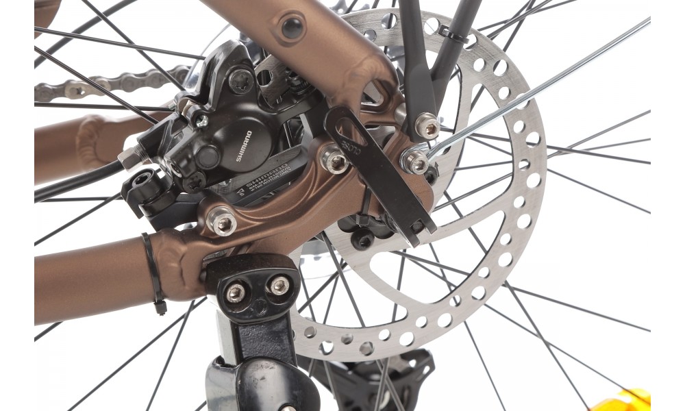 Rower elektryczny miejski ROMET WAVE 3.0 2024 - brązowy-czarny