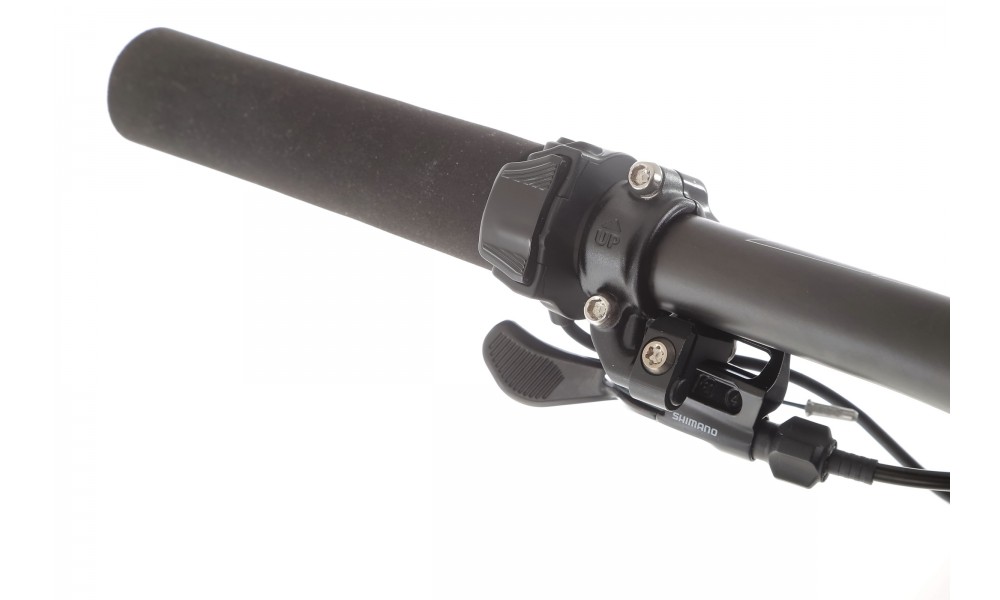 Rower górski elektryczny R-Raymon AirRay 12.0  - czarno-brązowy