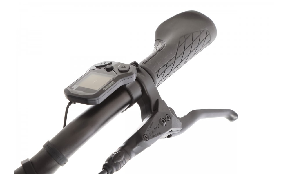 Rower trekkingowy elektryczny BESV TR 2.1 LS - czarny