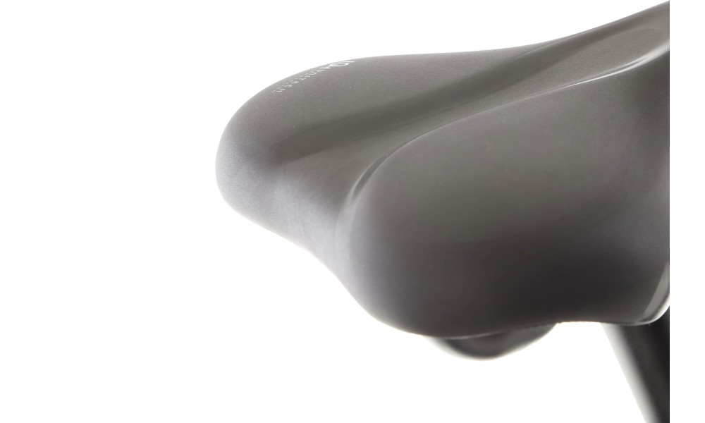 Rower trekkingowy elektryczny BESV TR 2.1 LS - czarny