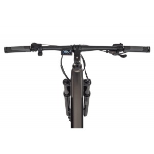 Rower górski elektryczny Ecobike SX300 - brązowy 2