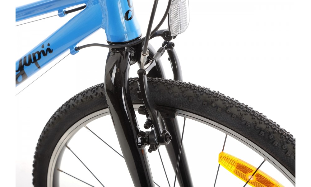 Rower młodzieżowy Yupii 24 - niebieski